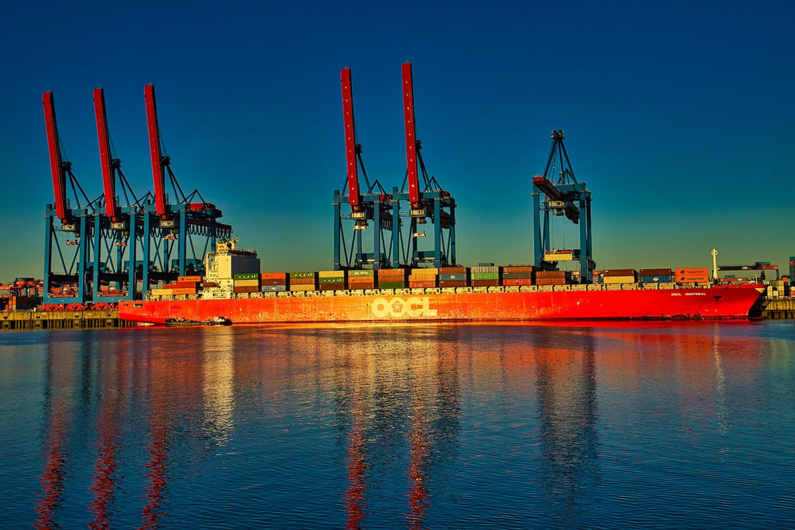global supply chain frequently asked questions